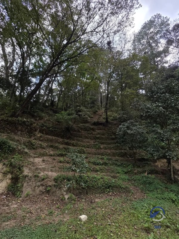 11 manzanas de terreno en venta entre El Encinal y San Pedro Sacatepéquez, - 2