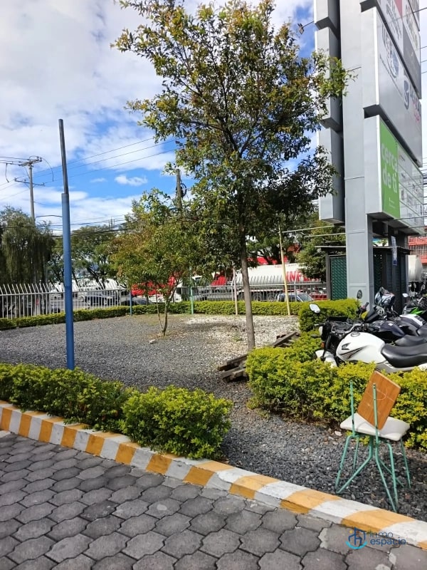 Terreno en Renta, Zona 12-Plaza Vía Nova - 4
