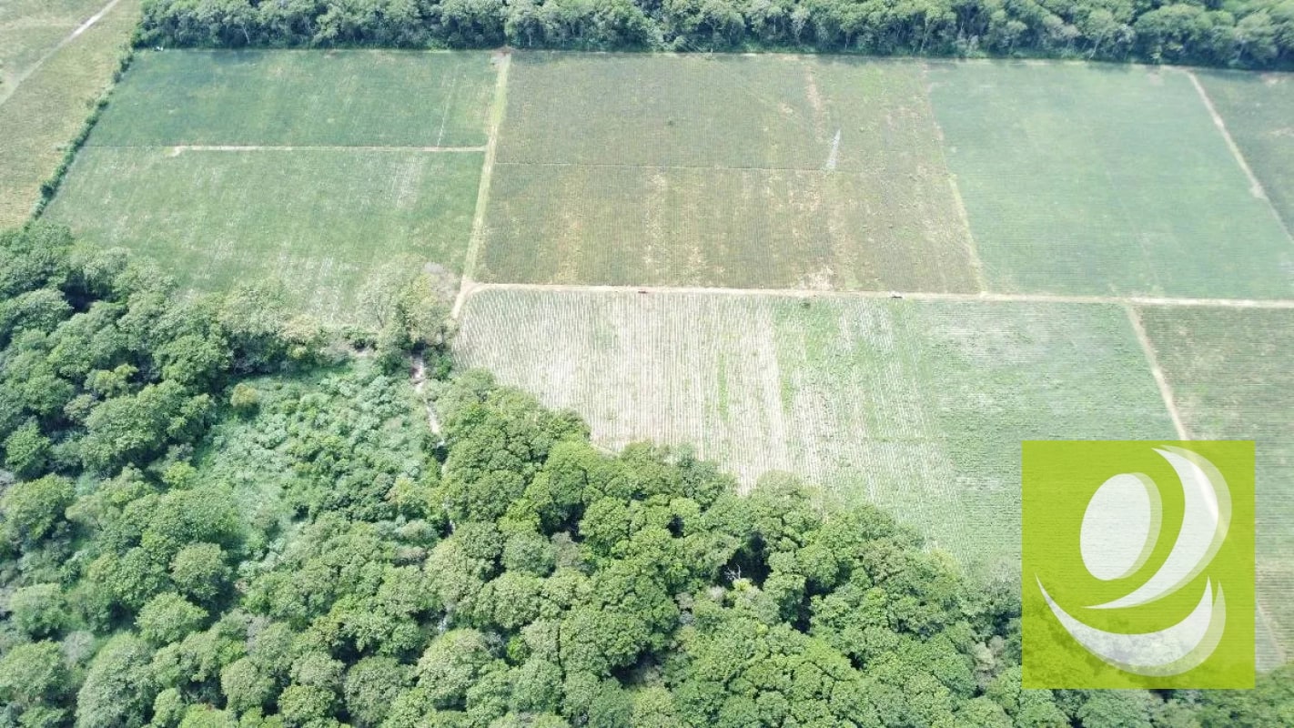 FINCA DE 17 MZ EN VENTA CERCA DE CARRETERA A EL SALVADOR - 1