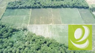 FINCA DE 17 MZ EN VENTA CERCA DE CARRETERA A EL SALVADOR — Finca en Venta en Carretera a El Salvador, Guatemala, Ciudad — miniatura 4 de 5