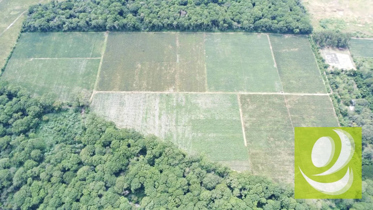 FINCA DE 17 MZ EN VENTA CERCA DE CARRETERA A EL SALVADOR - 3