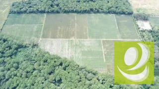 FINCA DE 17 MZ EN VENTA CERCA DE CARRETERA A EL SALVADOR — Finca en Venta en Carretera a El Salvador, Guatemala, Ciudad — miniatura 3 de 5
