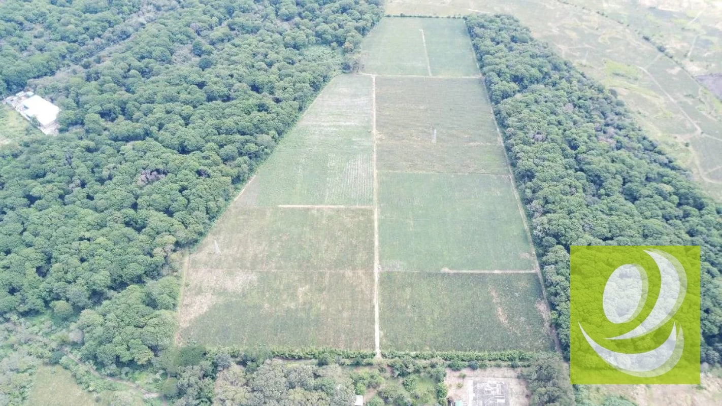 FINCA DE 17 MZ EN VENTA CERCA DE CARRETERA A EL SALVADOR - 2