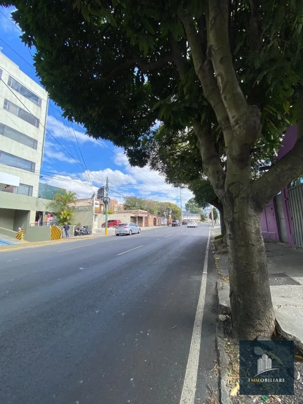 oficina barata en alquiler zona 10, sobre la 20 calle - 14