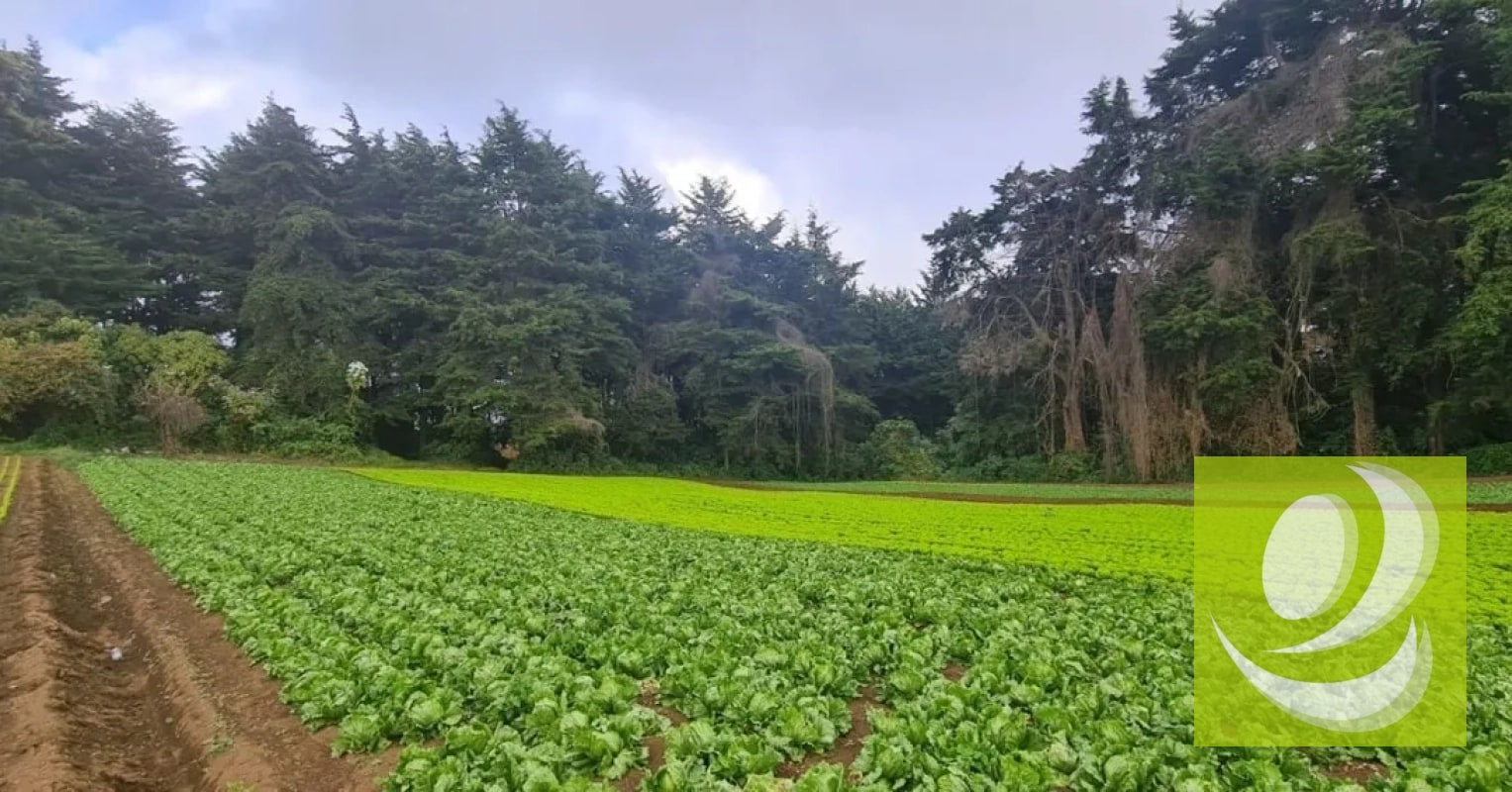 Terreno en Venta en Santo Tomas Milpas Altas, Sacatepéquez - 3