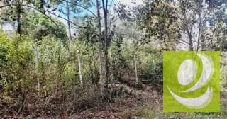 Terreno en Venta en Granjas La Colina I — Terreno en Venta en Santa Maria Cauqué, Sacatepéquez — miniatura 4 de 8