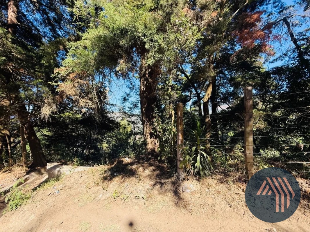 VENTA DE AMPLIO TERRENO - EL HATO, ANTIGUA GUATEMALA - 5