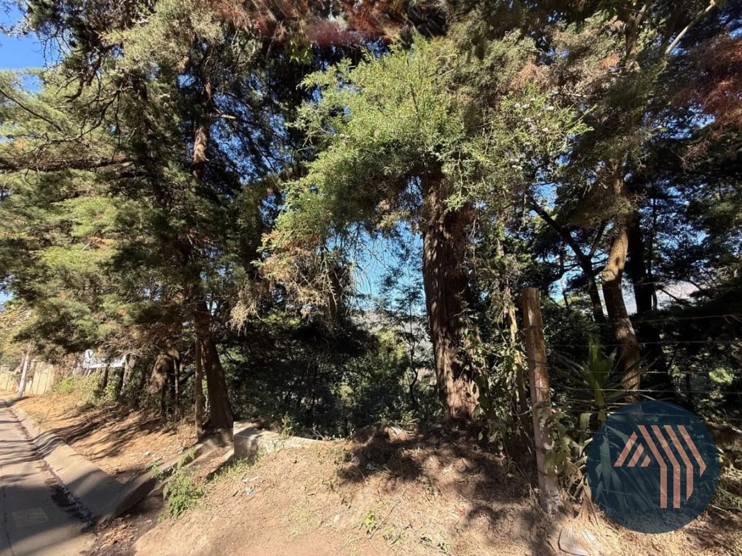 VENTA DE AMPLIO TERRENO - EL HATO, ANTIGUA GUATEMALA - 6