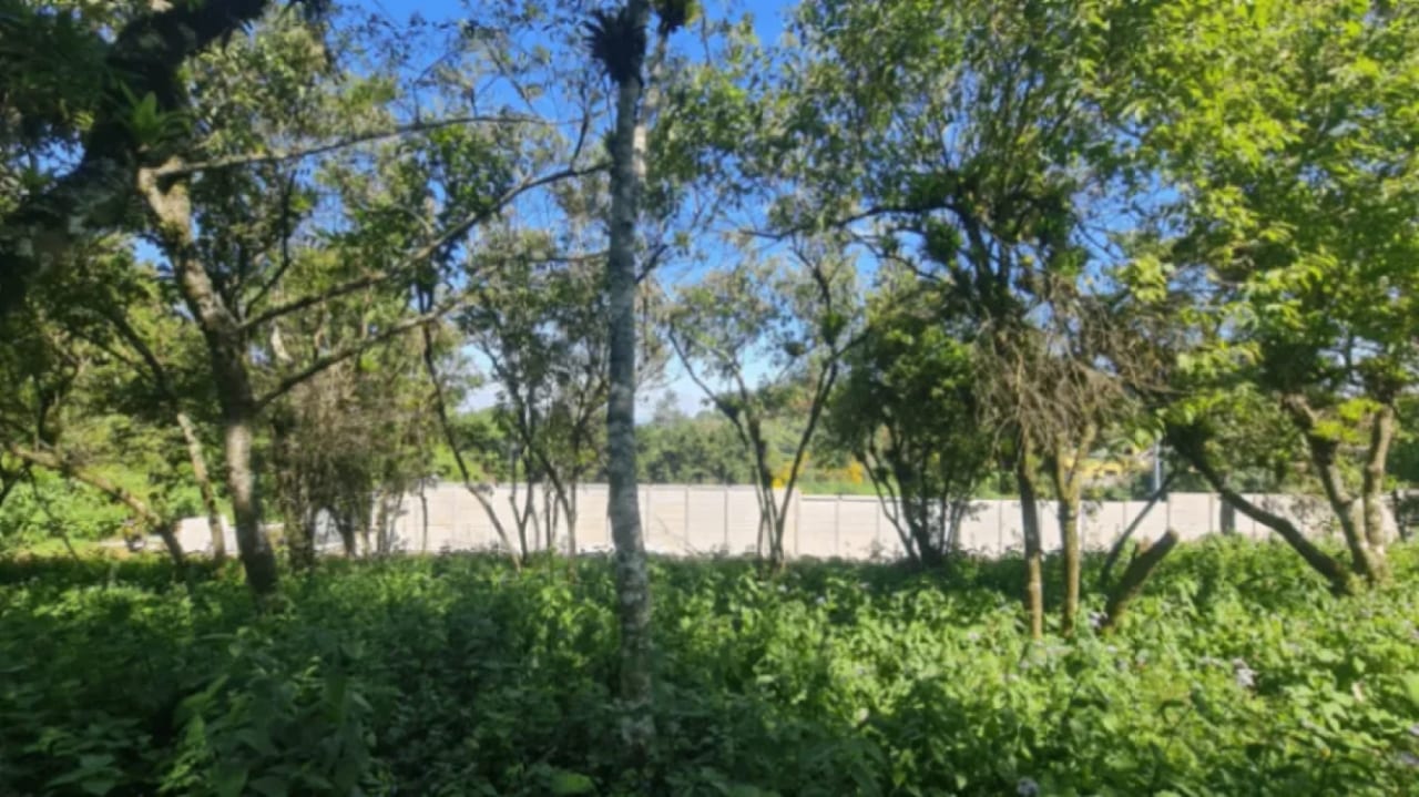 Terreno en Santa Catarina Pinula — Terreno en Venta en Santa Catarina Pinula, Guatemala, Ciudad — foto 3 de 3