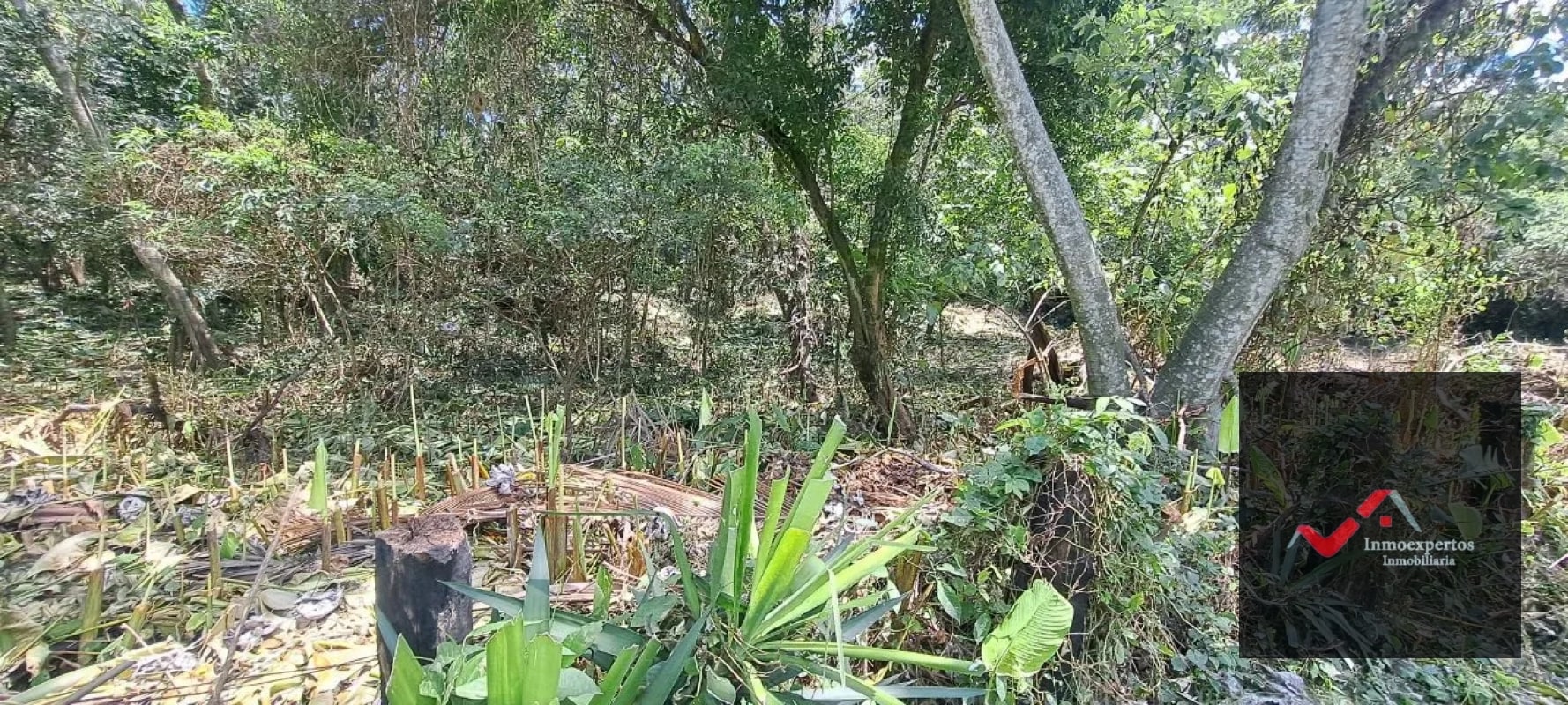 Terreno en Venta – Carretera a Palín, km 48 Ruta CA-9, Escuintla - 14