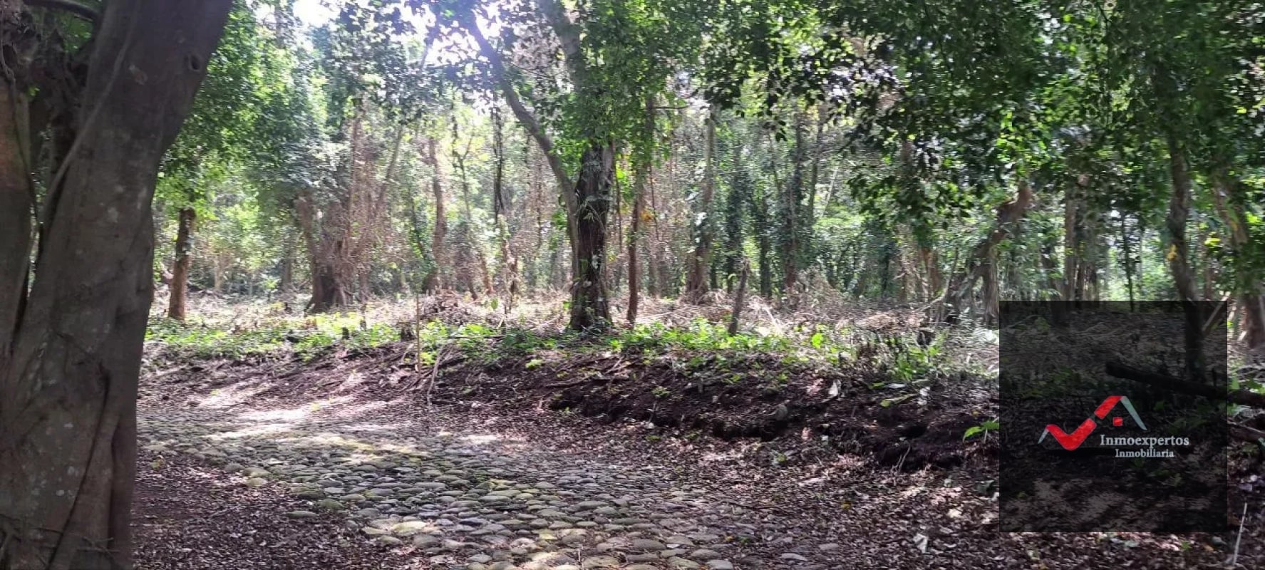 Terreno en Venta – Carretera a Palín, km 48 Ruta CA-9, Escuintla - 10