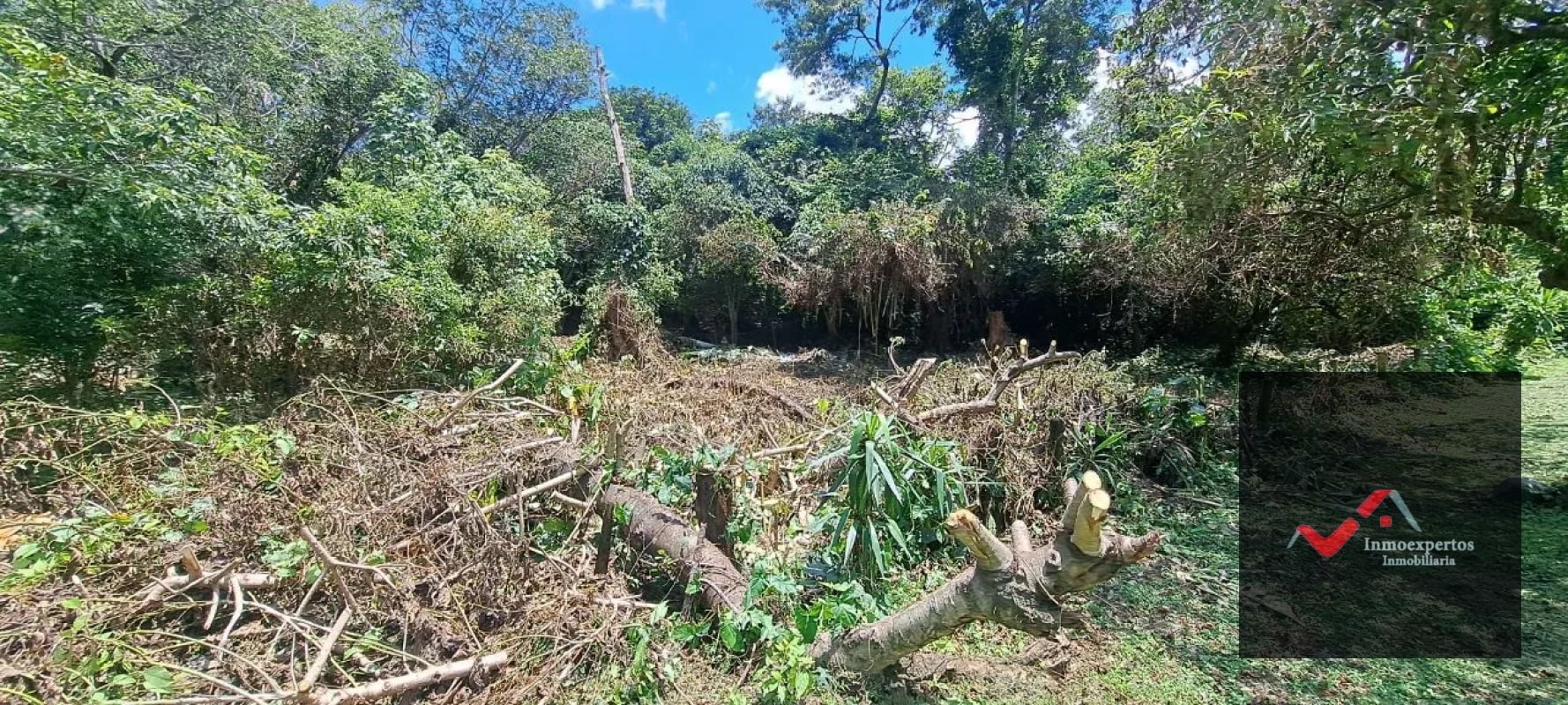 Terreno en Venta – Carretera a Palín, km 48 Ruta CA-9, Escuintla - 9