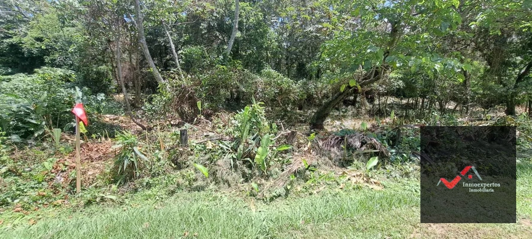 Terreno en Venta – Carretera a Palín, km 48 Ruta CA-9, Escuintla - 8