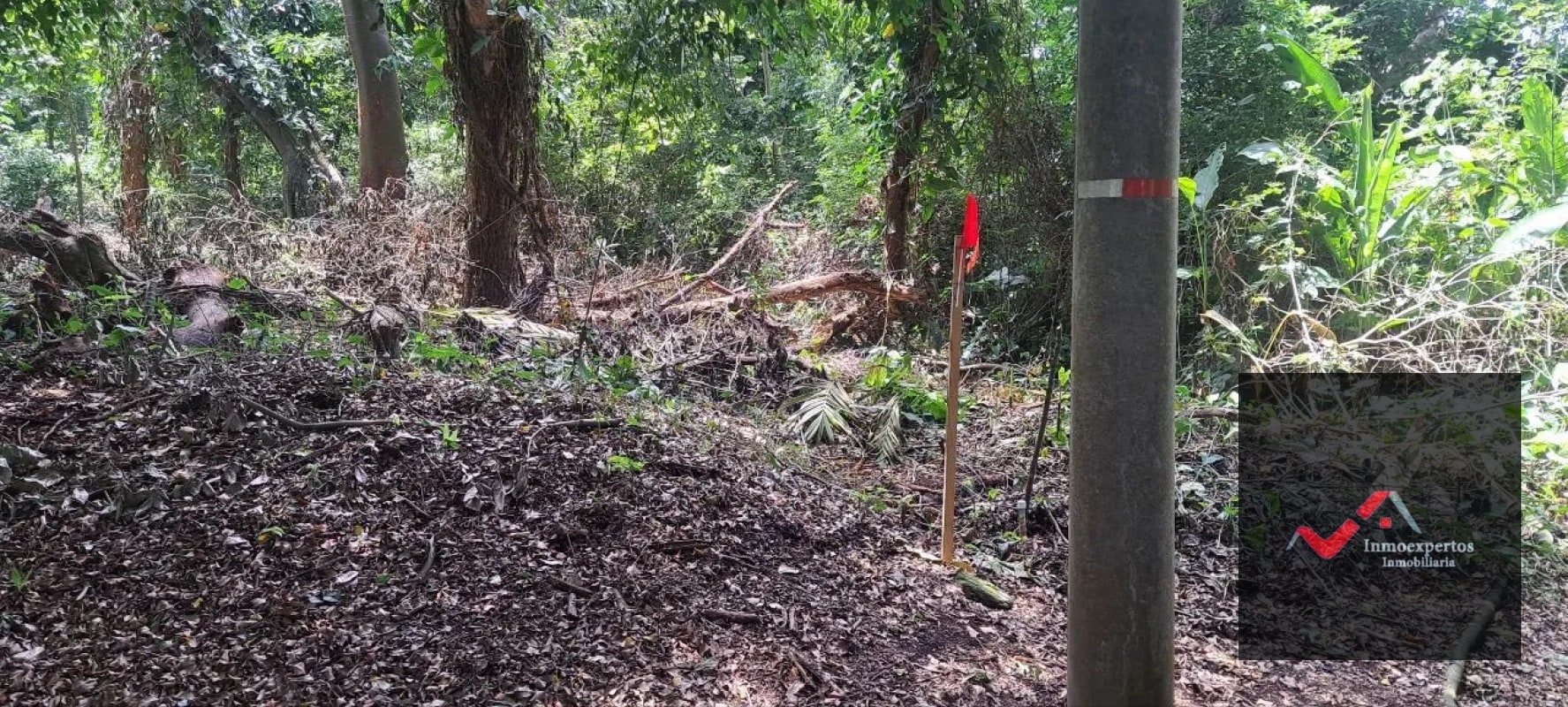 Terreno en Venta – Carretera a Palín, km 48 Ruta CA-9, Escuintla - 6