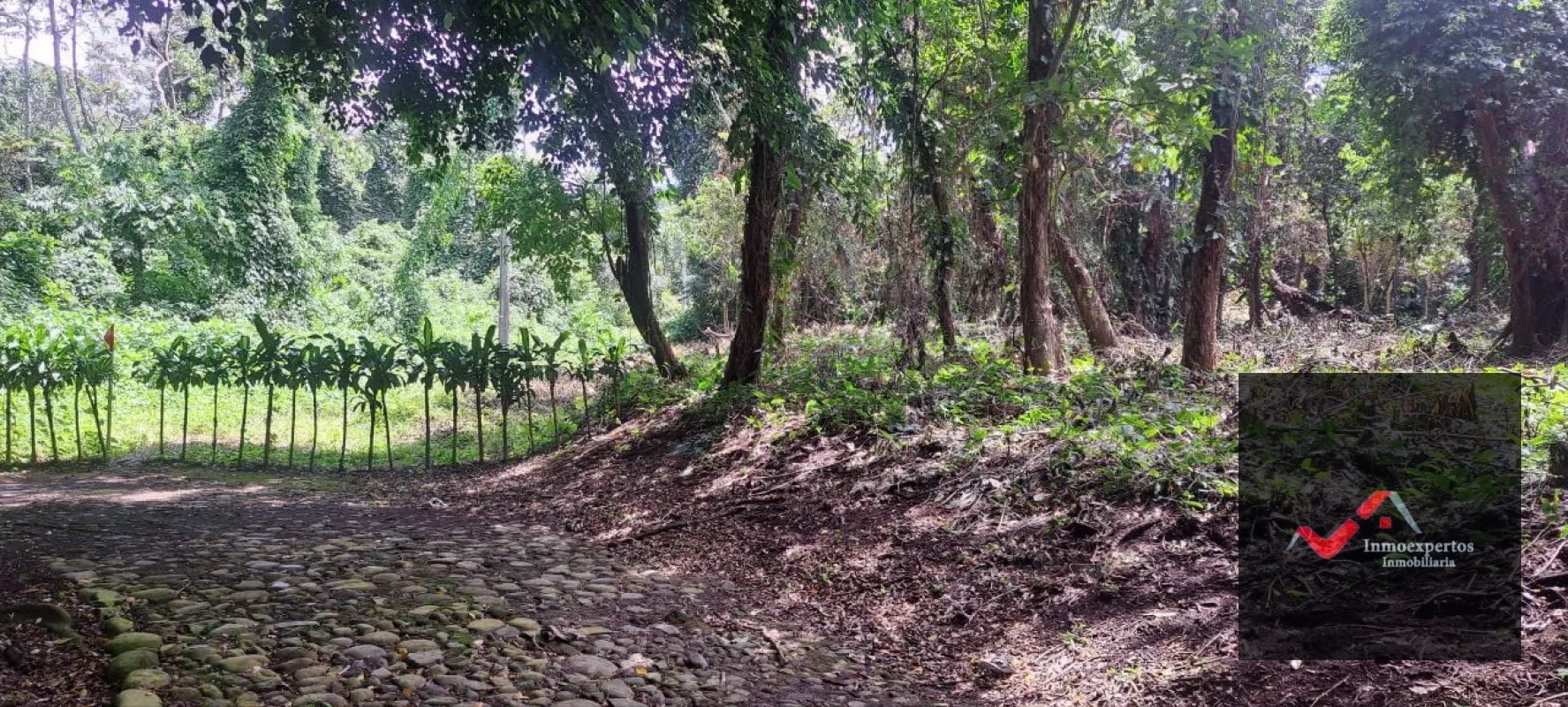 Terreno en Venta – Carretera a Palín, km 48 Ruta CA-9, Escuintla - 5