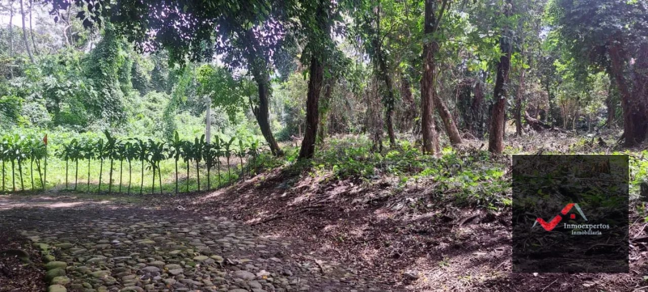 Terreno en Venta – Carretera a Palín, km 48 Ruta CA-9, Escuintla — Terreno en Venta en Palín, Escuintla — foto 5 de 15