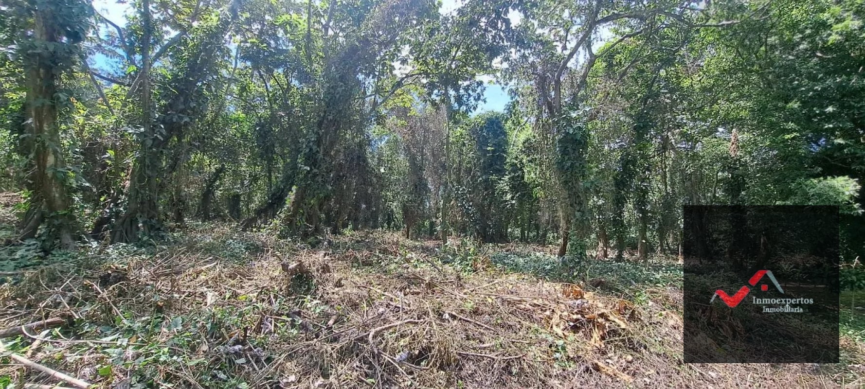 Terreno en Venta – Carretera a Palín, km 48 Ruta CA-9, Escuintla - 3