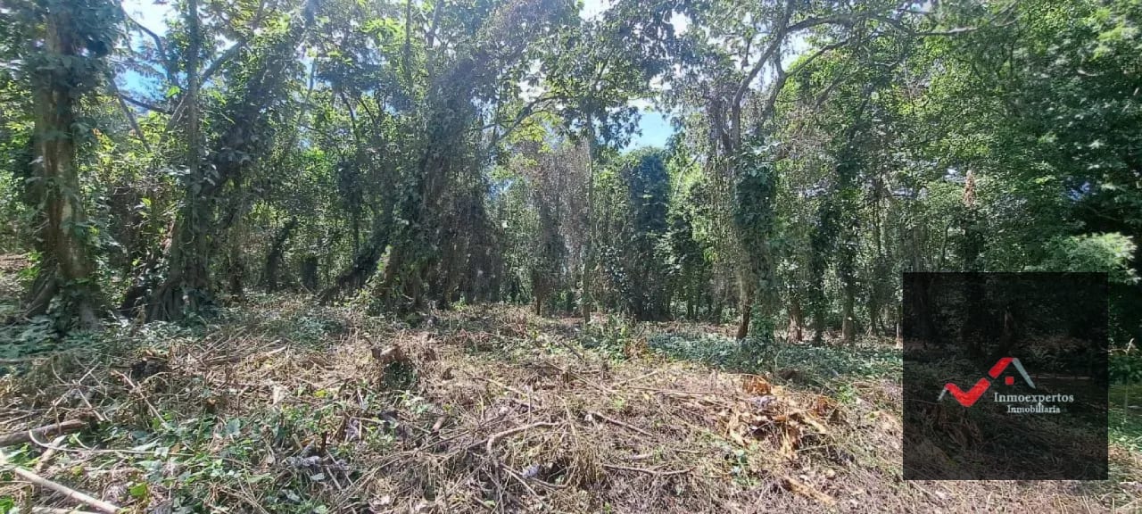Terreno en Venta – Carretera a Palín, km 48 Ruta CA-9, Escuintla — Terreno en Venta en Palín, Escuintla — foto 3 de 15