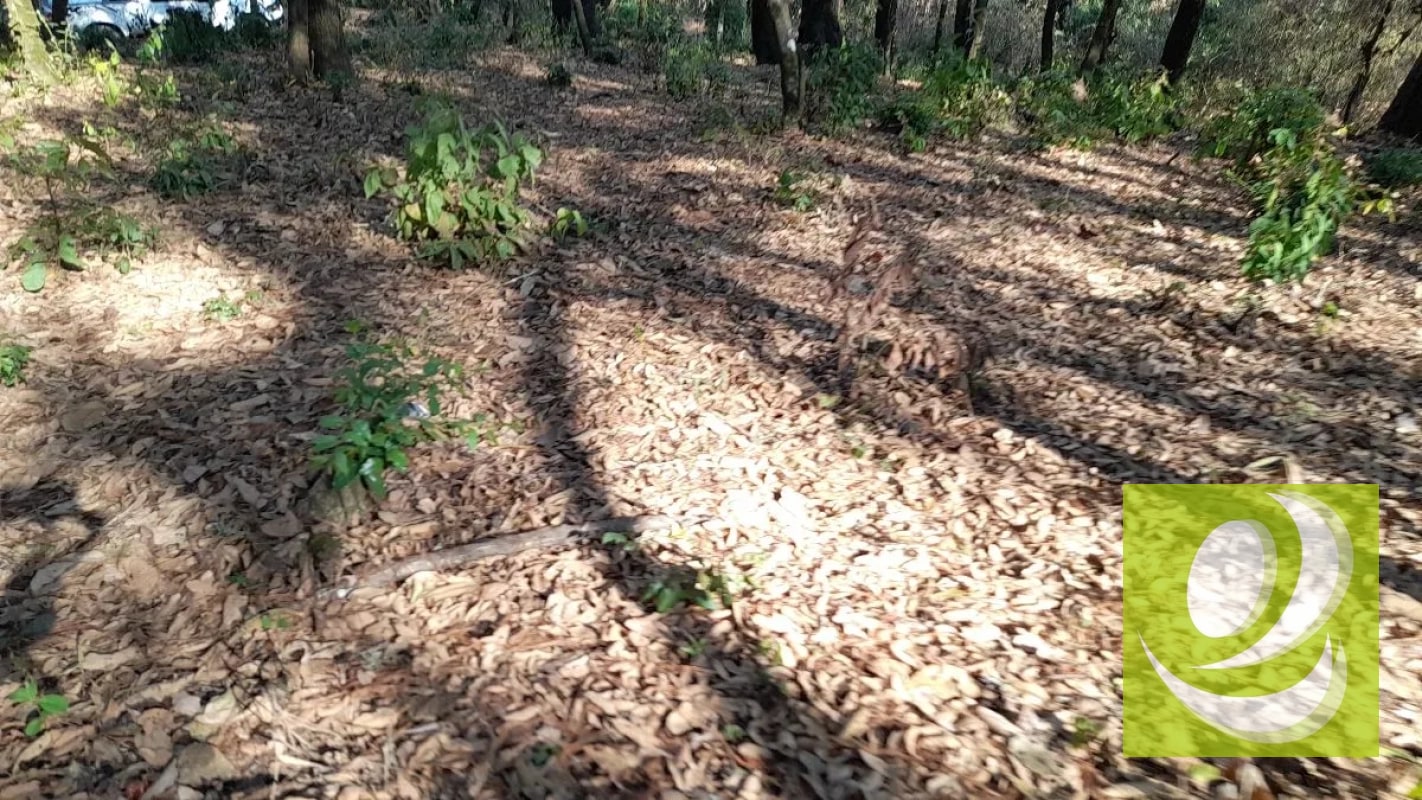 Terreno de Esquina en Venta en El Encinal Zona 7 Mixco - 7