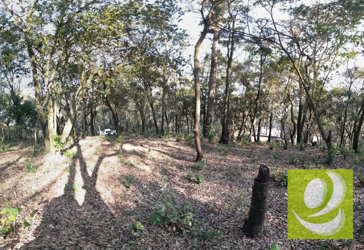 Terreno de Esquina en Venta en El Encinal Zona 7 Mixco - 5