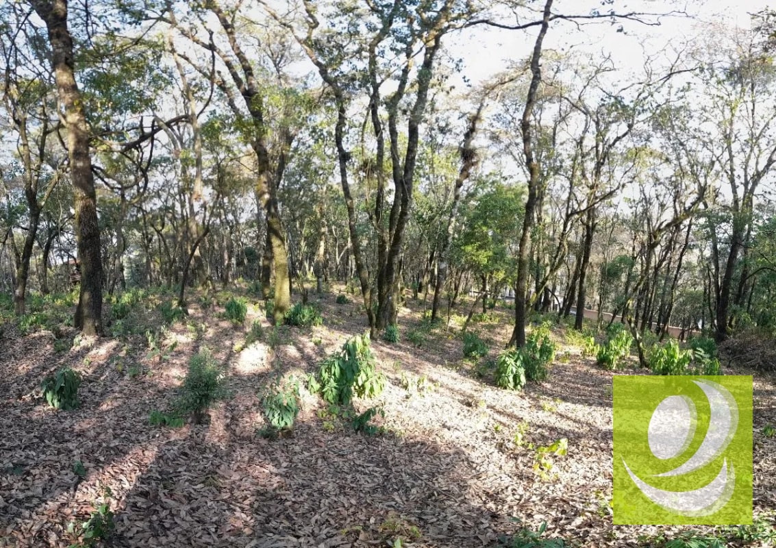 Terreno de Esquina en Venta en El Encinal Zona 7 Mixco - 4