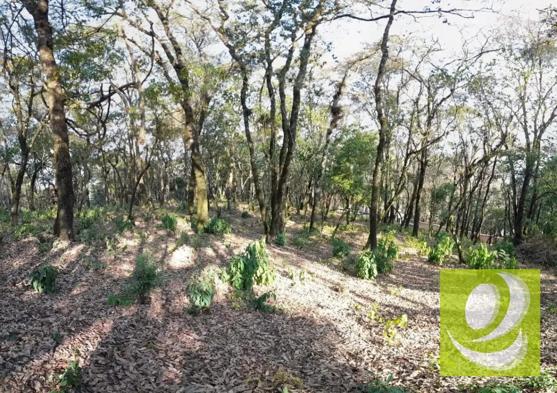 Terreno de Esquina en Venta en El Encinal Zona 7 Mixco — Terreno en Venta en Zona 7 Mixco, Guatemala, Ciudad — foto 4 de 7