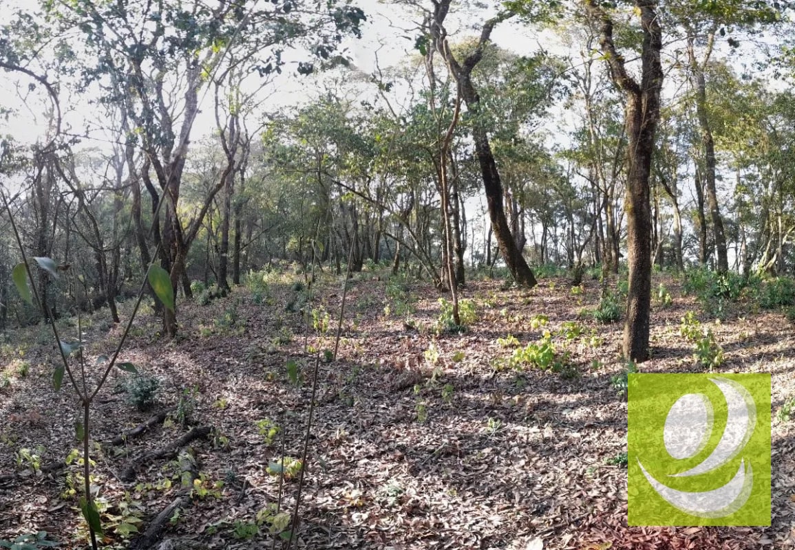 Terreno de Esquina en Venta en El Encinal Zona 7 Mixco - 3