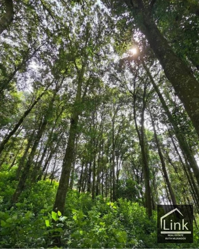 TERRENOS EN VENTA EN TECPAN CHIMALTENANGO - 1