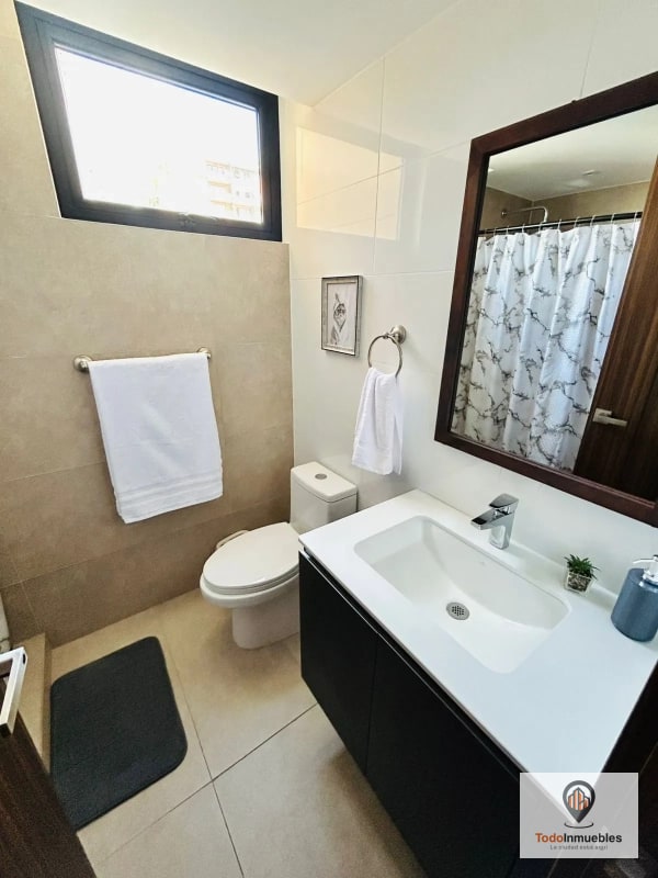 Apartamento amueblado en Renta en z4 Inara Cuatro - 8