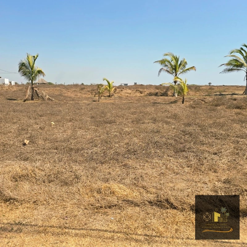 Terreno en Venta en El Paredon a 150 metros del mar - 3