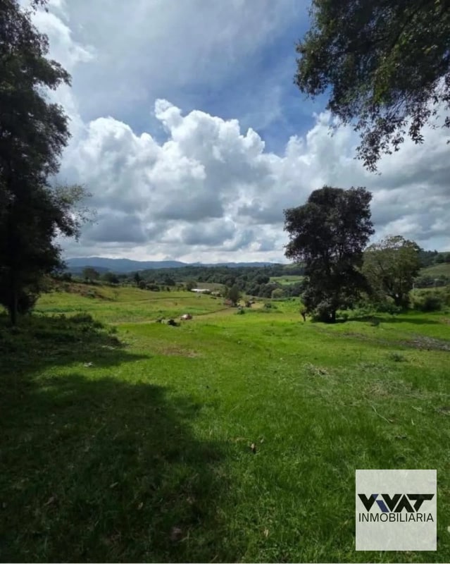Terrenos en VENTA en Tecpán, Chimaltenango en ENCINOS DE TEPÁN - 9