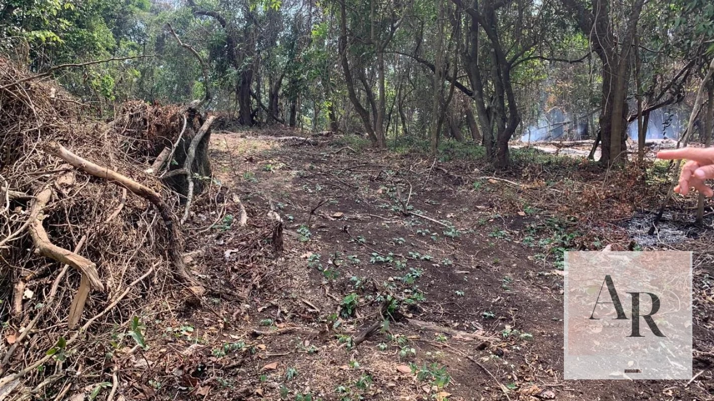 Terreno en venta Santa Elena Barillas - 2