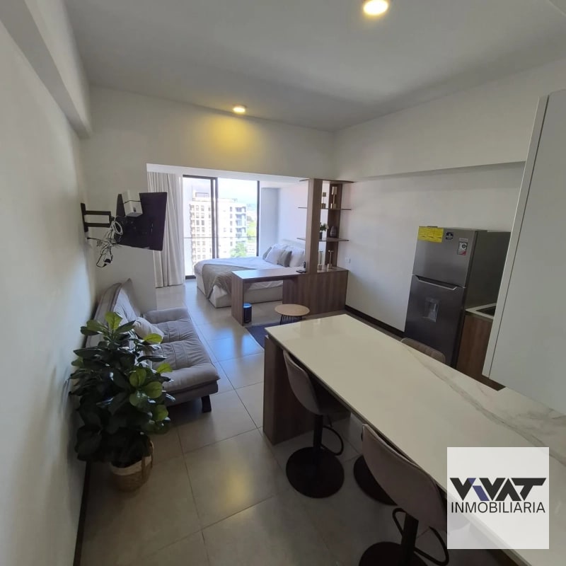 Apartamento En Renta tipo Loft en Edificio Elemento zona 13 - 6