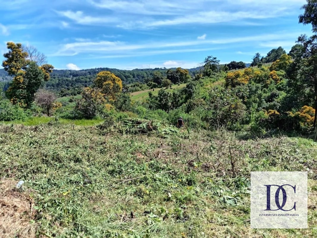 TERRENO EN VENTA – GRANJAS VILLA ALICIA, KM 32.9 SANTIAGO SACATEPÉQUEZ - 2