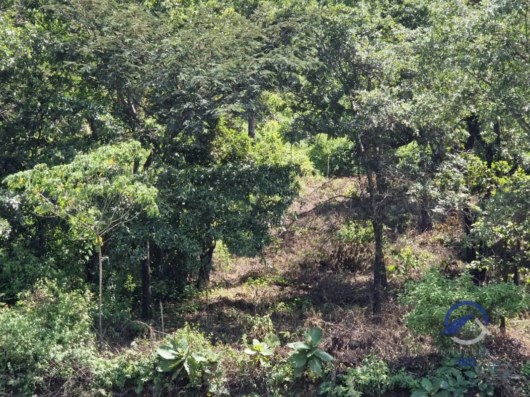 Terreno en venta en la Carretera Interamericana, km 46.3, Quintas del Tejar - 3