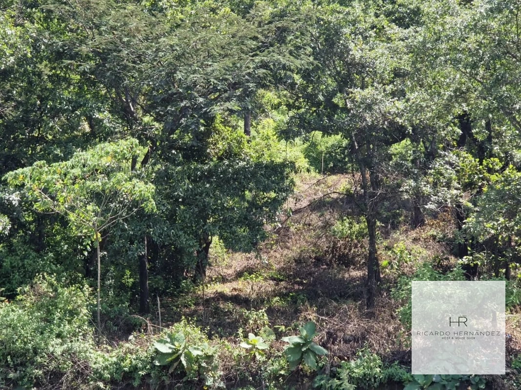 Venta de terreno en Sumpango - 2