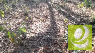 Vendo Terreno en El Encinal — Terreno en Venta en El Encinal, Zona 7 Mixco, Guatemala, Ciudad — miniatura 6 de 6
