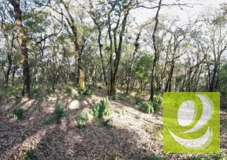 Vendo Terreno en El Encinal — Terreno en Venta en El Encinal, Zona 7 Mixco, Guatemala, Ciudad — miniatura 5 de 6