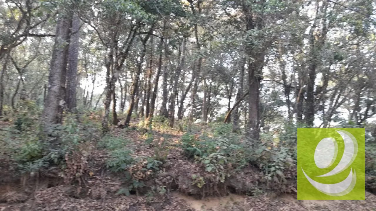 Vendo Terreno en El Encinal — Terreno en Venta en El Encinal, Zona 7 Mixco, Guatemala, Ciudad — foto 3 de 6