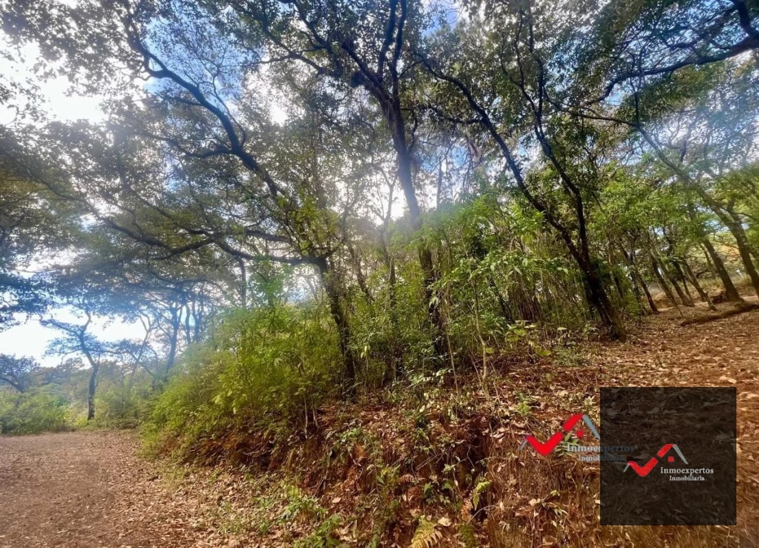 Terreno en Venta Labor de Castilla II, Zona 9 de Mixco - 5