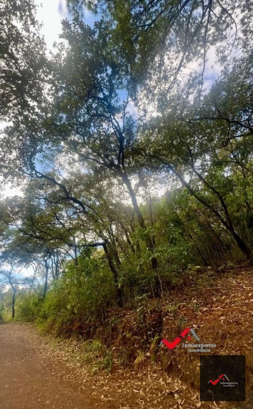 Terreno en Venta Labor de Castilla II, Zona 9 de Mixco - 4