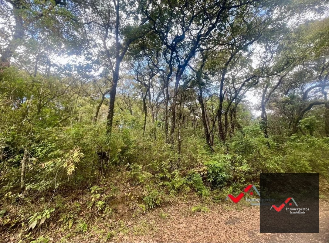 Terreno en Venta Labor de Castilla II, Zona 9 de Mixco - 3
