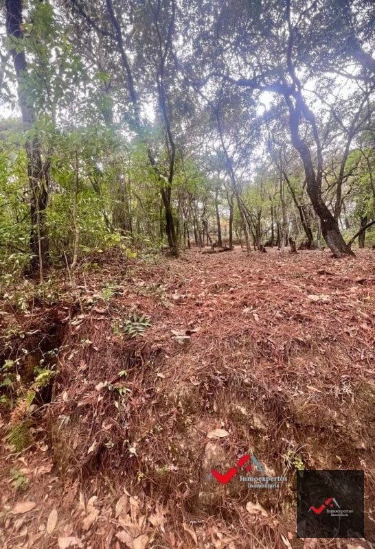 Terreno en Venta  Labor de Castilla II, Zona 9 de Mixco - 2