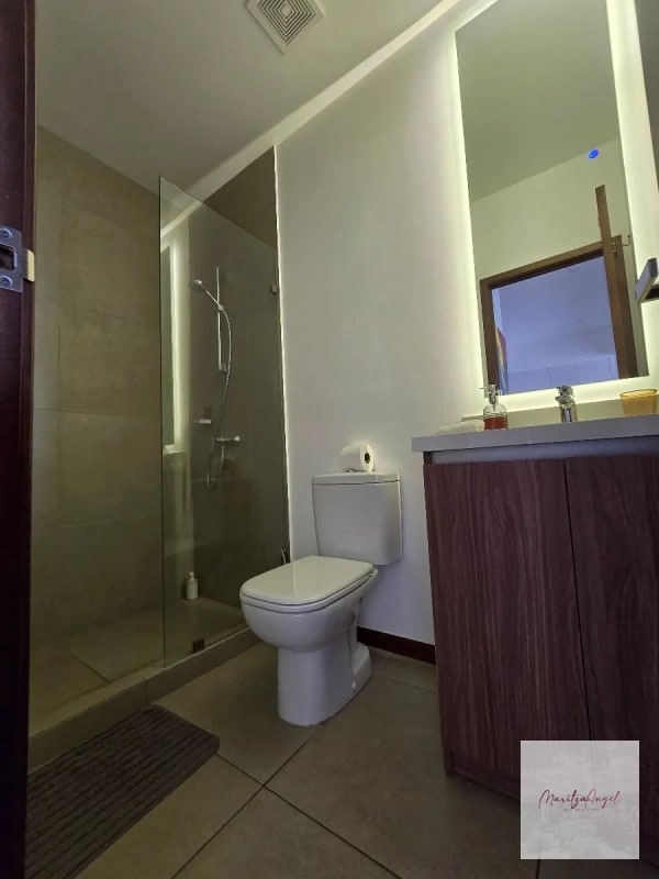 APARTAMENTO AMUEBLADO EN RENTA , EDIFICIO BRUNELO - 4