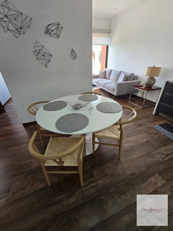 APARTAMENTO AMUEBLADO EN RENTA , EDIFICIO BRUNELO - 2