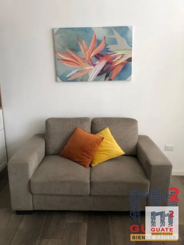 Apartamento en Renta, Zona 13 - 4