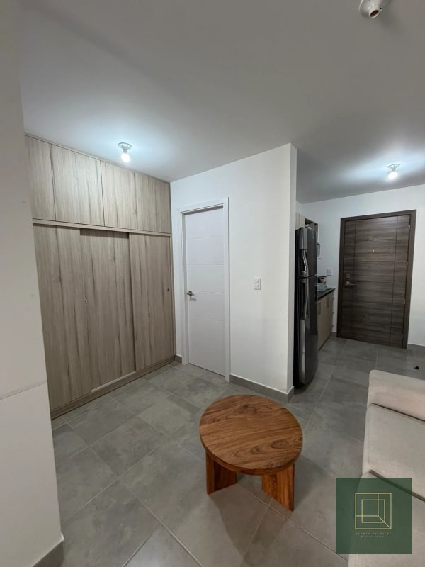 Apartamento tipo estudio en renta zona 4 - 3