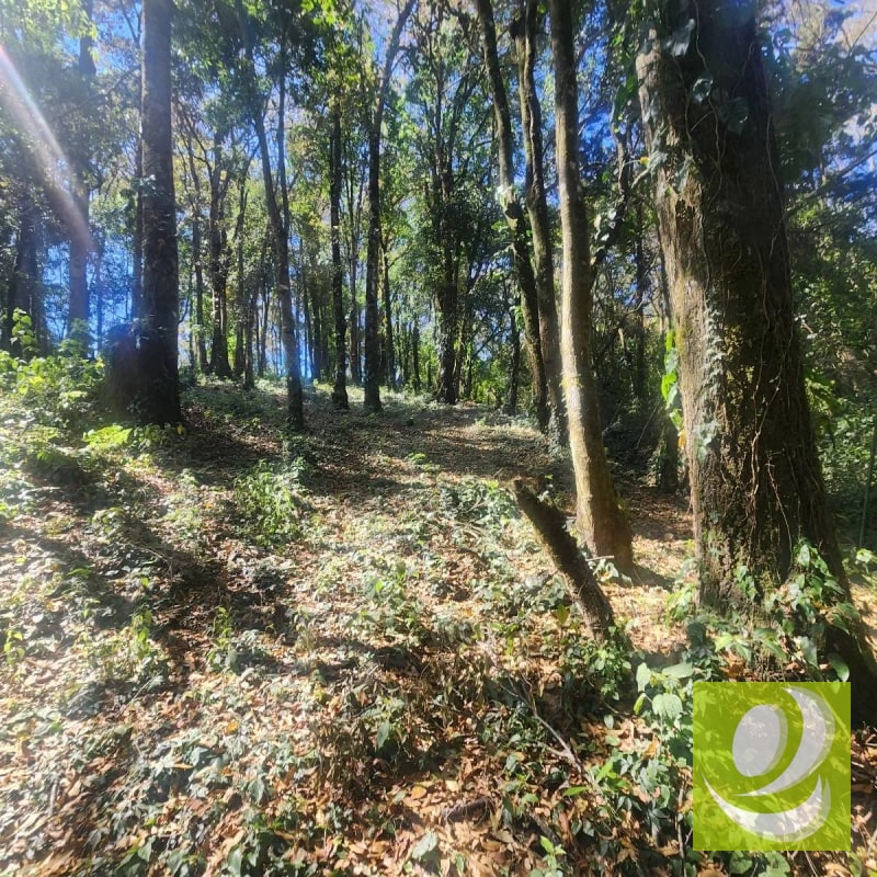 VENDO TERRENO RESIDENCIAL EN BOSQUE VIVO MIXCO - 2