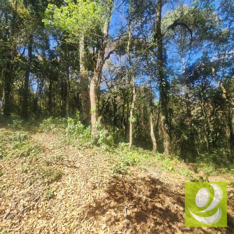 VENDO TERRENO RESIDENCIAL EN BOSQUE VIVO MIXCO - 3