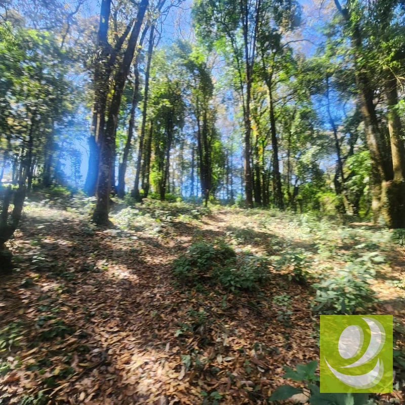 VENDO TERRENO RESIDENCIAL EN BOSQUE VIVO MIXCO - 1